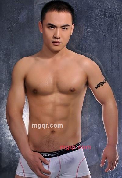 巨柱仙人球的第1张照片