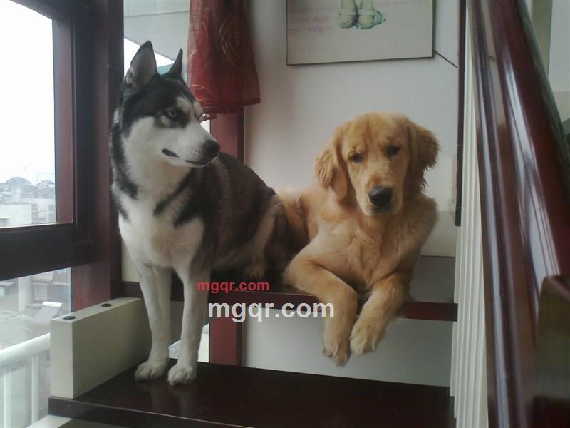 某夜路过的地铁的第1张照片