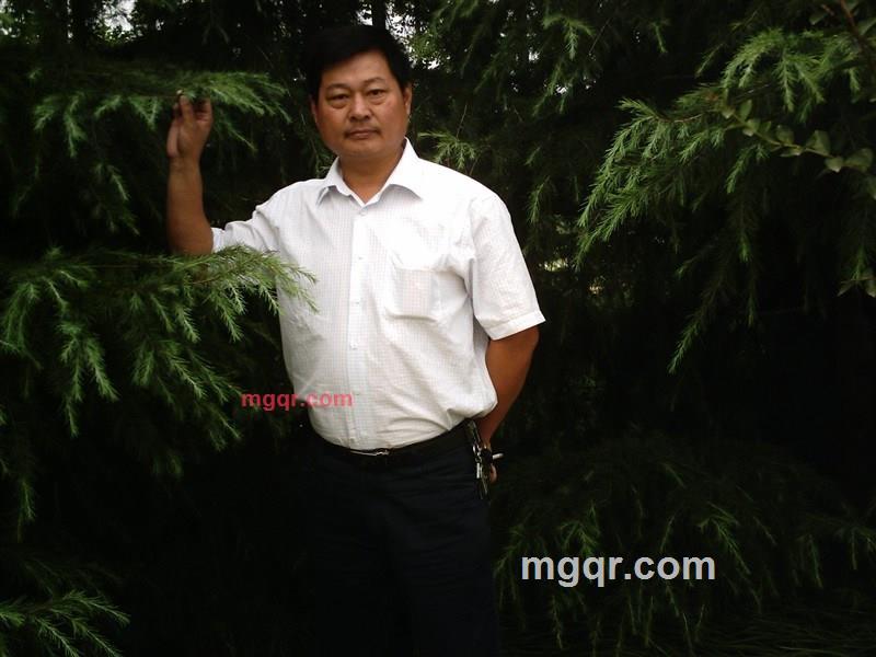 lqdok的第4张照片