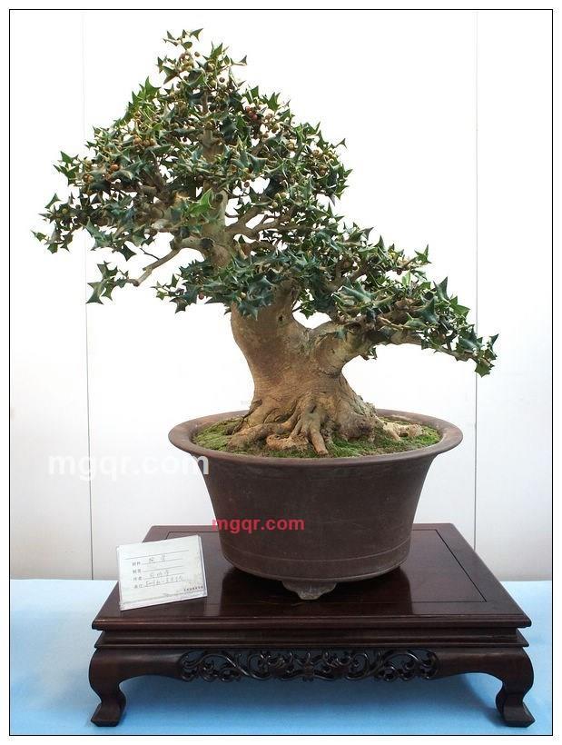 无聊的过客的第4张照片