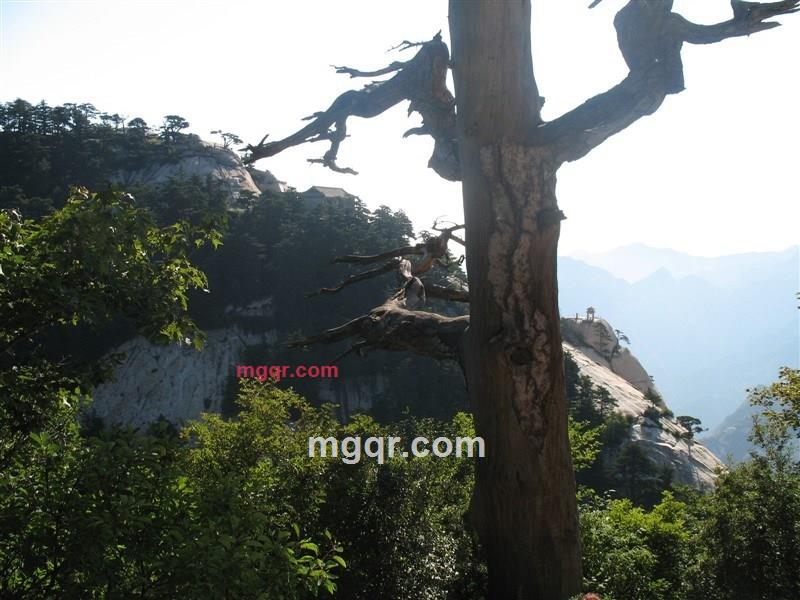 水拍云崖暖的第1张照片