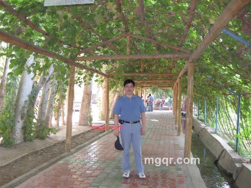 开心果~的第2张照片