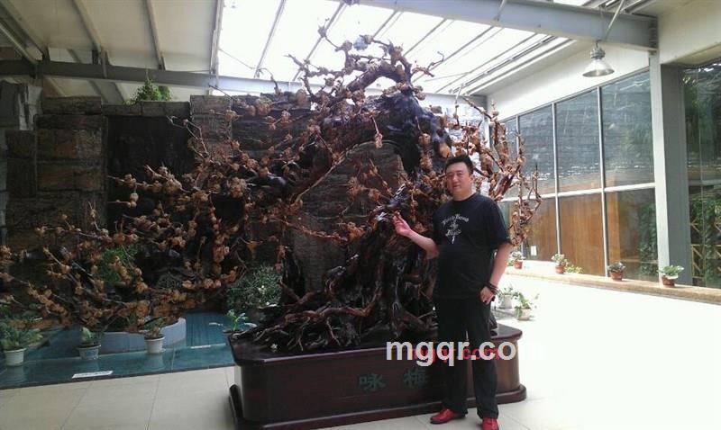 Soup Chivas的第1张照片