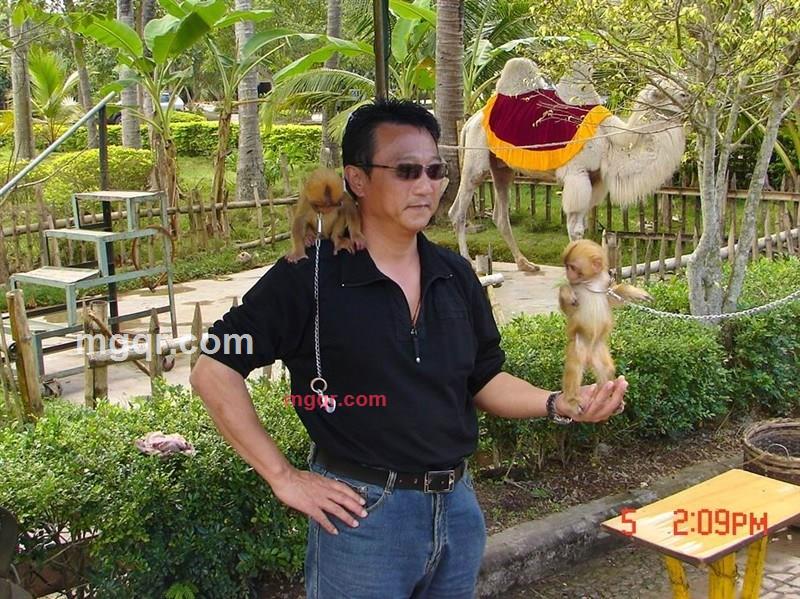 火龙a的第2张照片