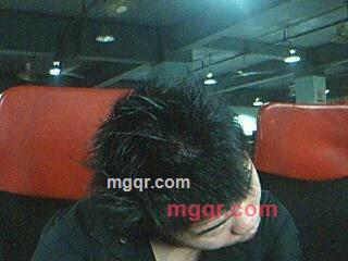 4295的第2张照片