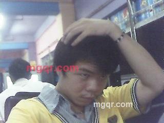 4295的第1张照片