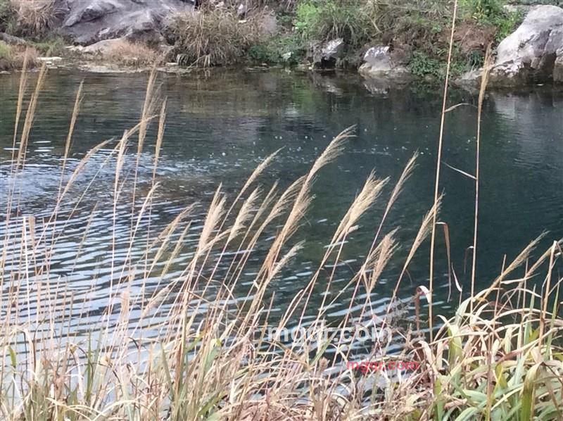 itsjia的第2张照片