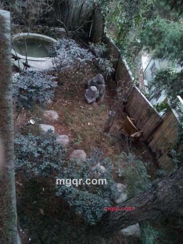 itsjia的第1张照片