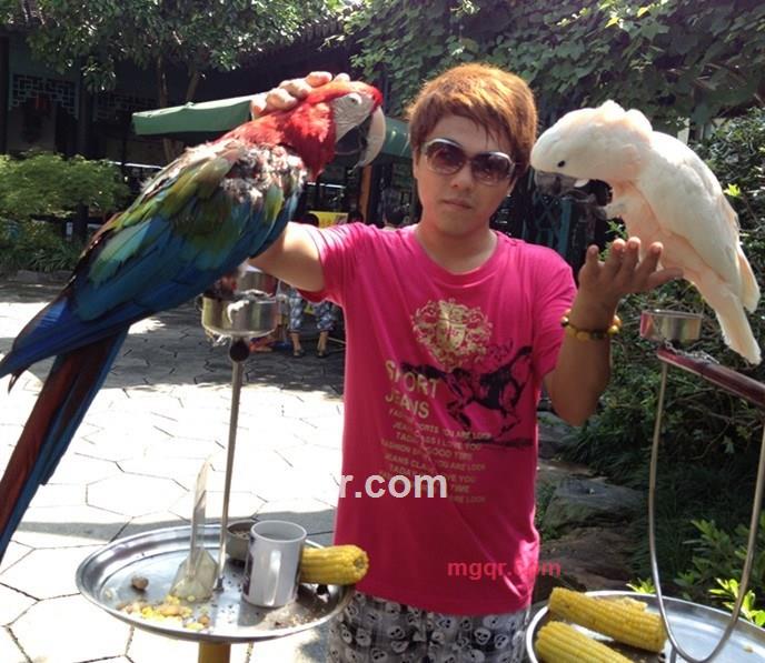 浪 荡的第15张照片