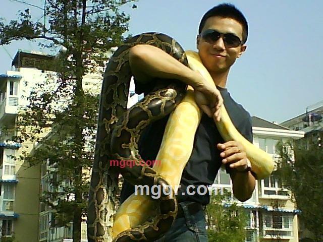 匪二代的第4张照片