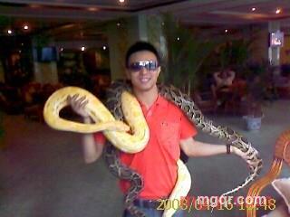 匪二代的第3张照片