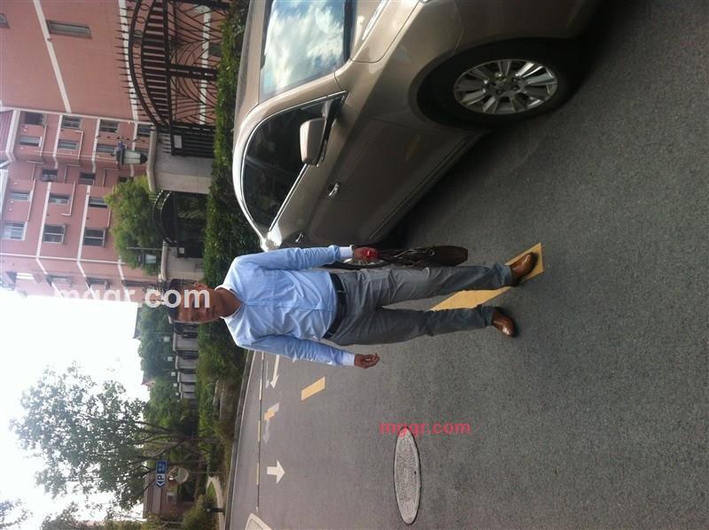 菜羊的第1张照片