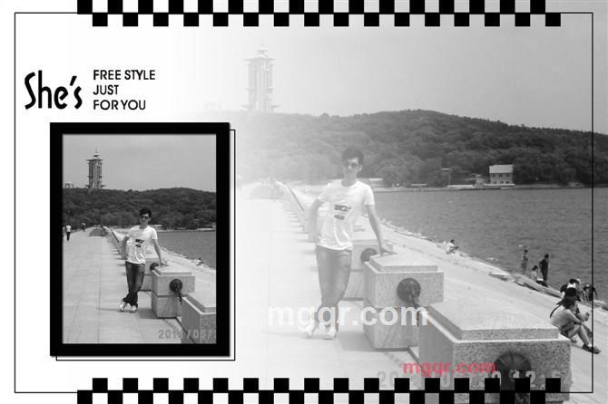 海豚的翅膀的第1张照片