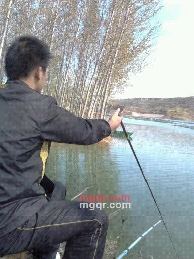 你给的痛的第1张照片