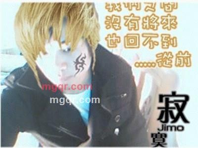 gongwei100的第2张照片