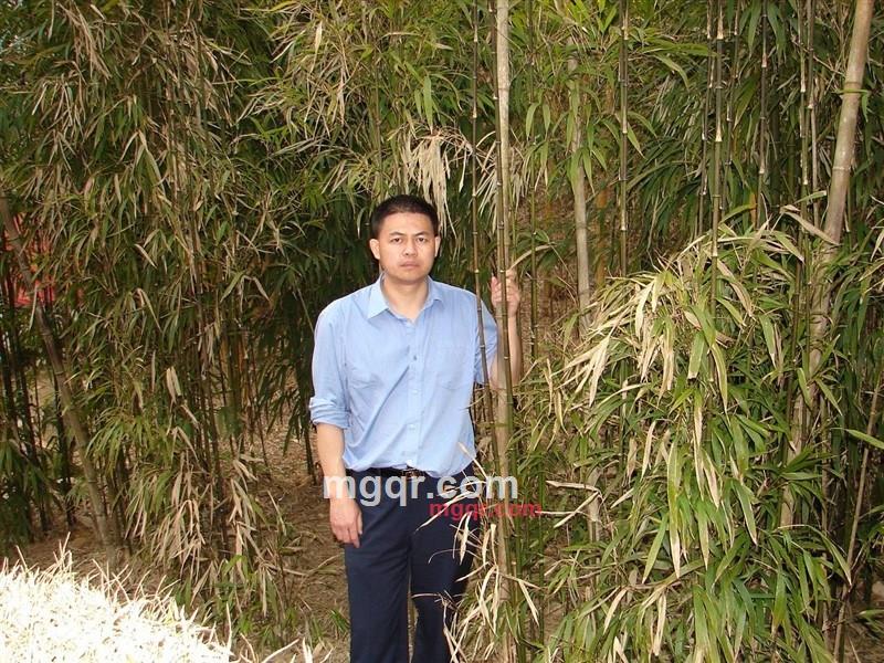 yingwang的第1张照片