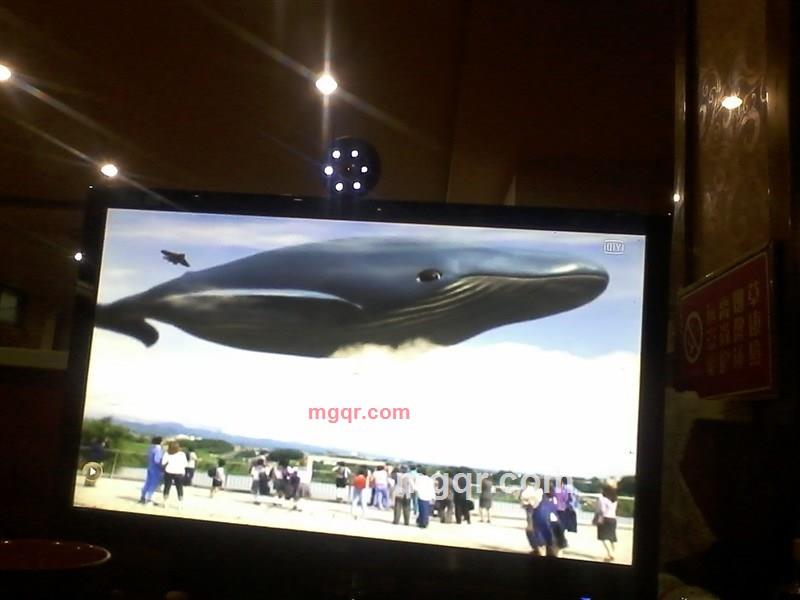 你 好吗的第1张照片