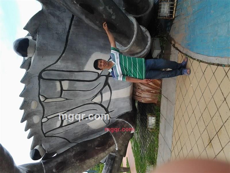 明星123的第1张照片