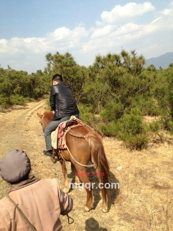 你有情我愿的第1张照片