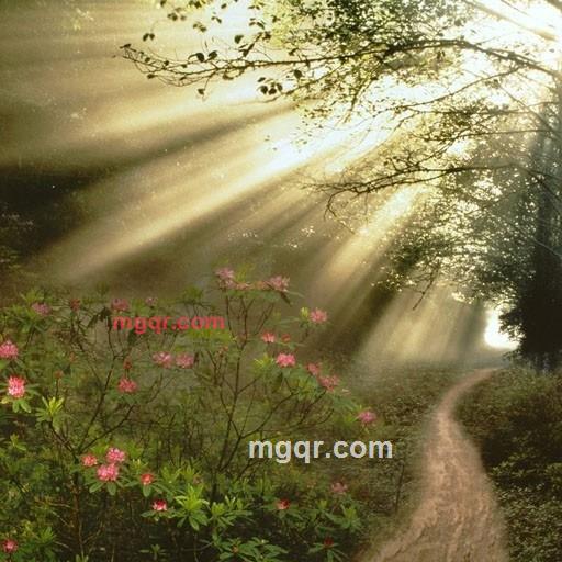 东西南北中的第1张照片