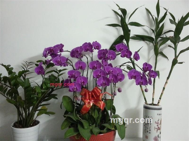 gdwanping的第1张照片