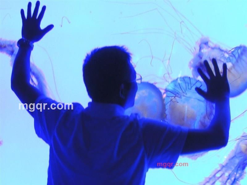 shukai8111的第1张照片