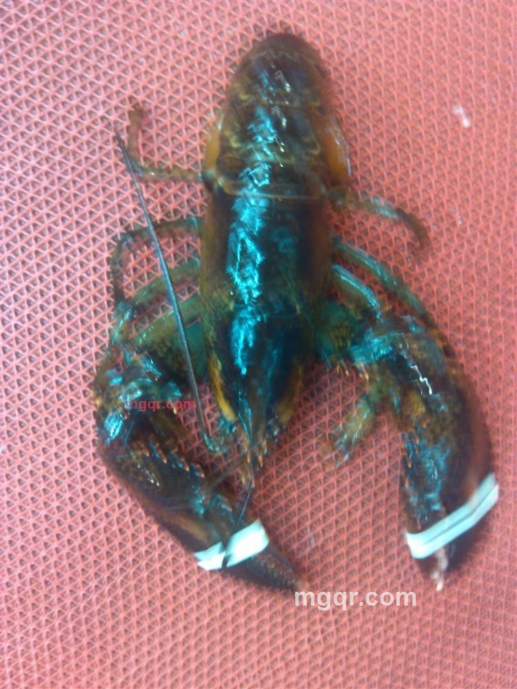 盗梦偷心的第1张照片