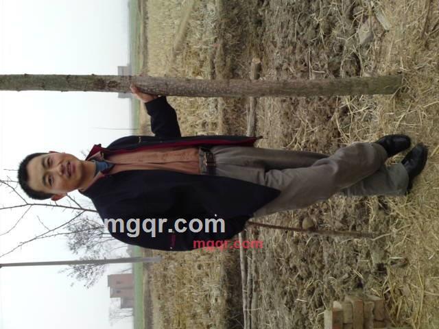 雪中飞狼的第1张照片