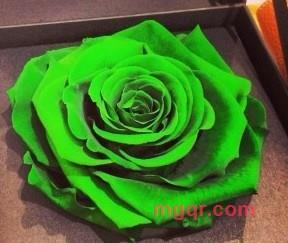 daixi的第2张照片