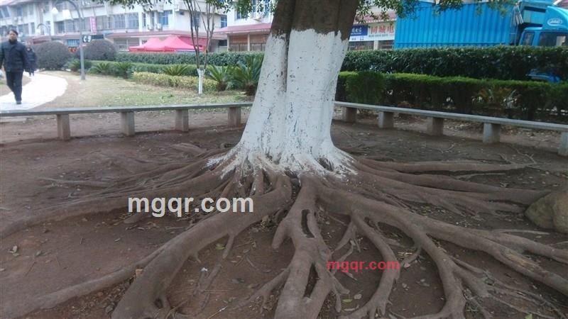 激情的第1张照片