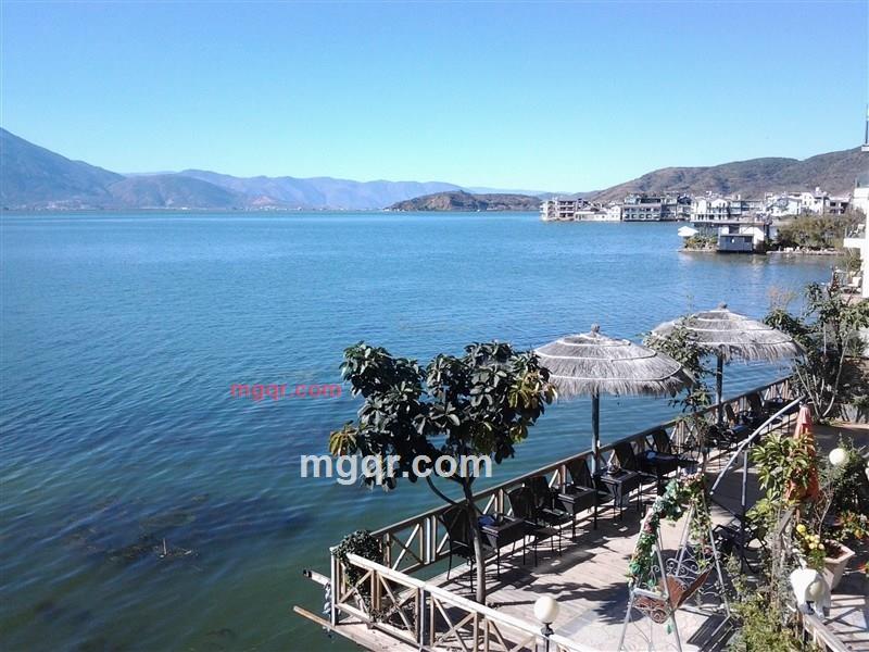 丶苏格的第11张照片