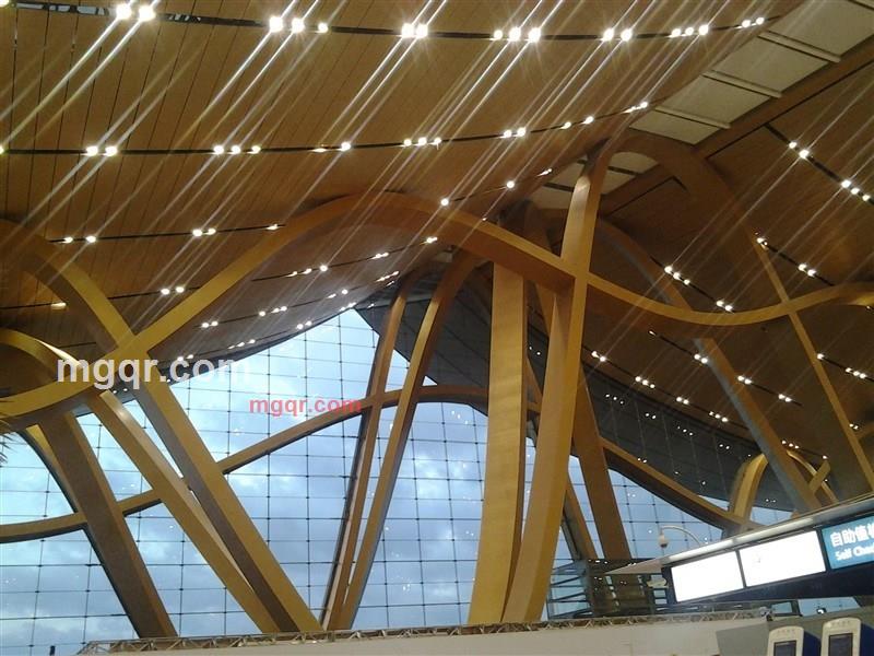 丶苏格的第7张照片