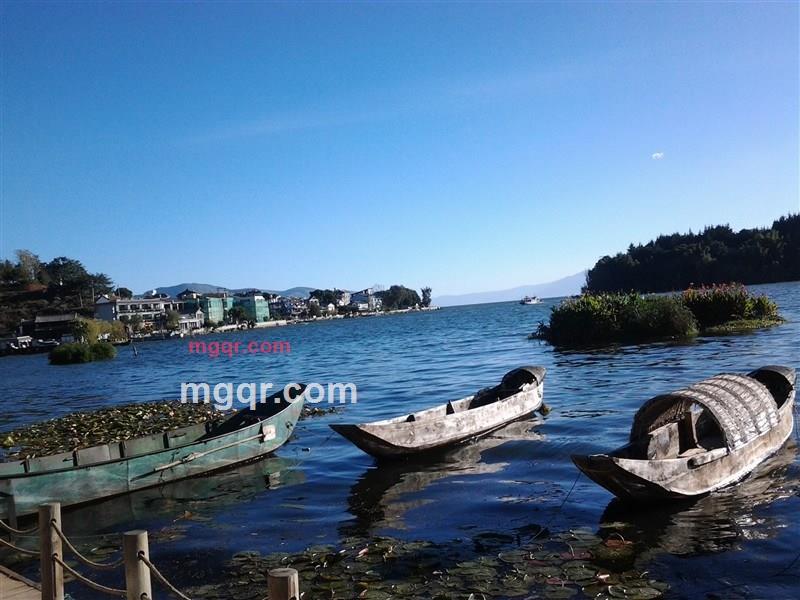 丶苏格的第9张照片