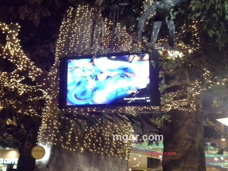 kohykoh的第3张照片