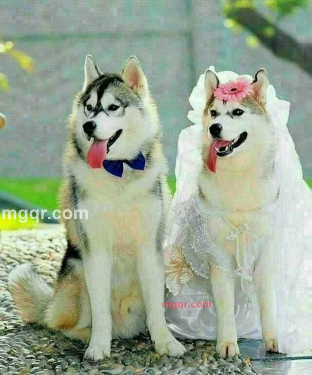 lzgg的第1张照片