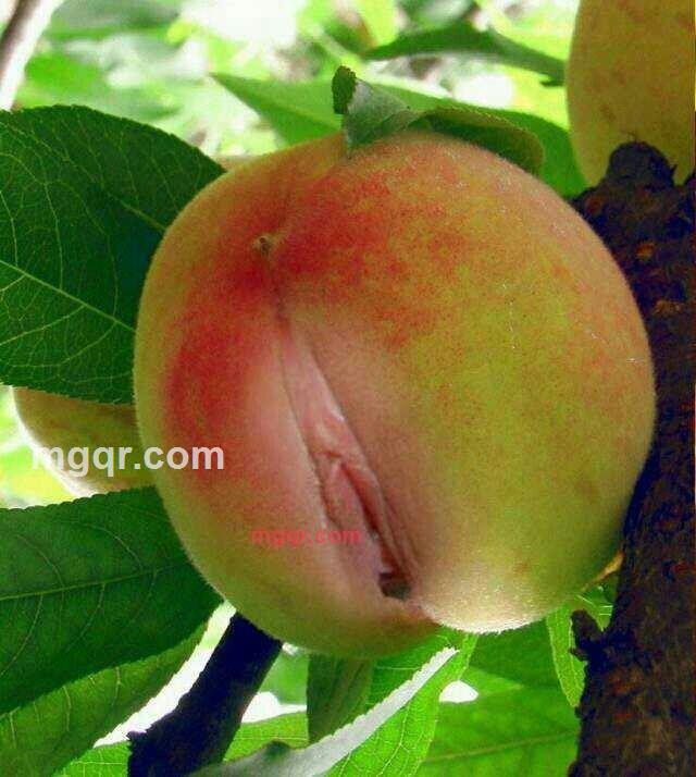 shuangwaiwaisini的第3张照片