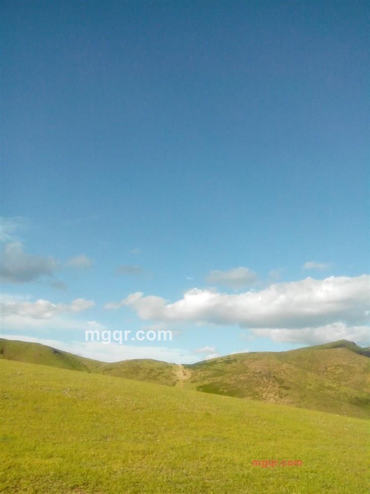 寻缘的第1张照片