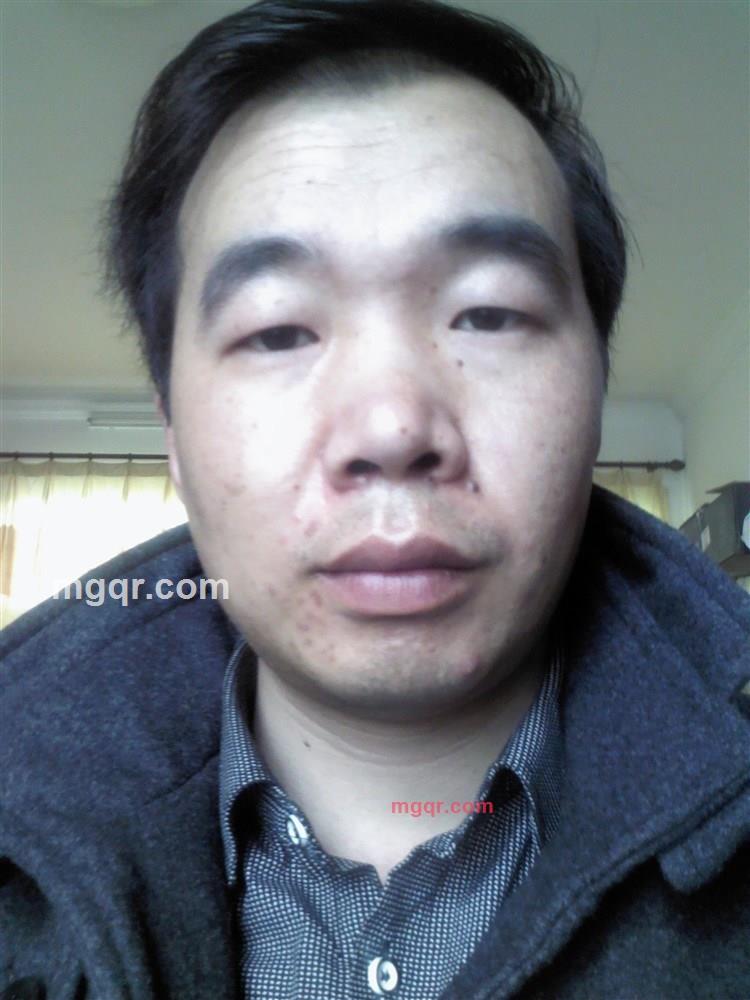 吃嫩叶的虫的第1张照片