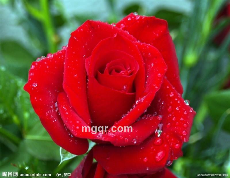 在这里我想找到你的第2张照片