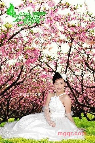 红颜泪的第4张照片