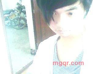 樱花之星的第1张照片