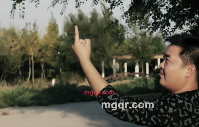 ：海浪：的第3张照片