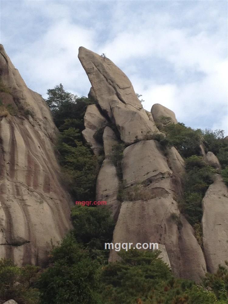 *随风飘逸*的第6张照片