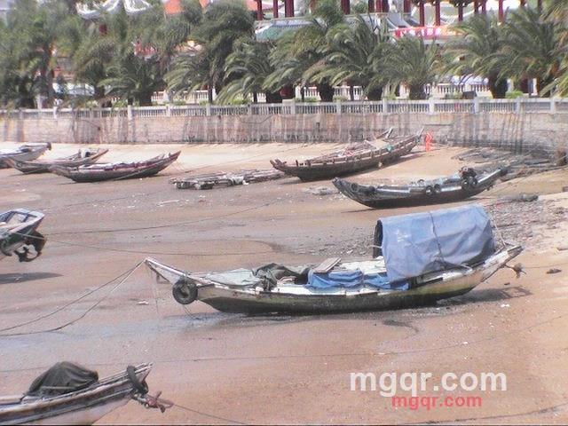 *随风飘逸*的第1张照片