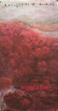 一池碧水的第1张照片