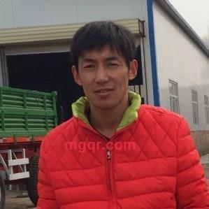 我在那棵苹果树下等你的第1张照片