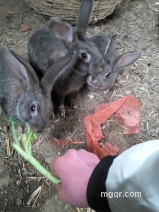 想个你的第1张照片