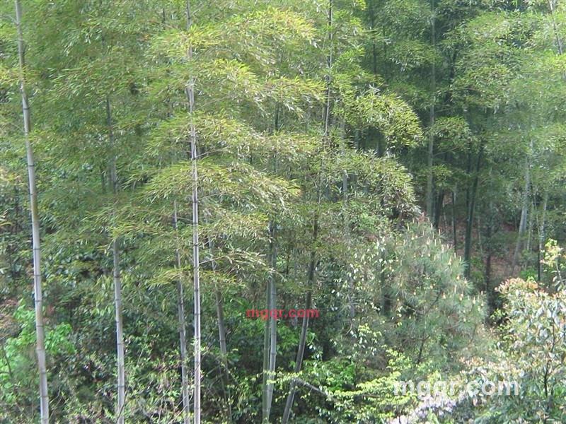 winteryds的第1张照片