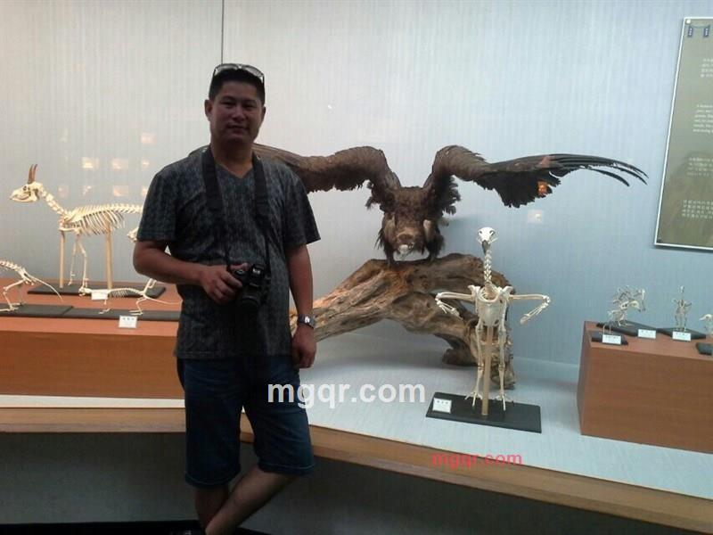 798NE的第3张照片