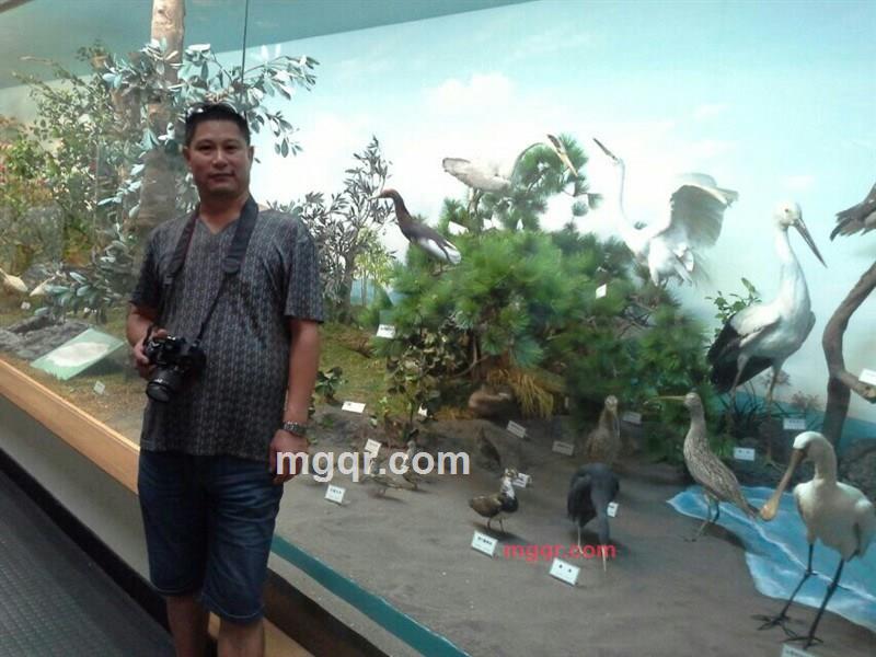 798NE的第2张照片